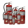 Buckeye 12905 30 lb Fire Extinguisher