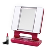 OttLite B922W3 Natural Makeup Mirror - Pink Floral