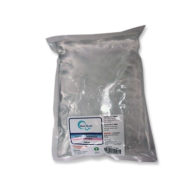 SaniSuds Alcohol Instant Foam Hand Sanitizer