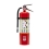 10 LB Fire Extinguisher