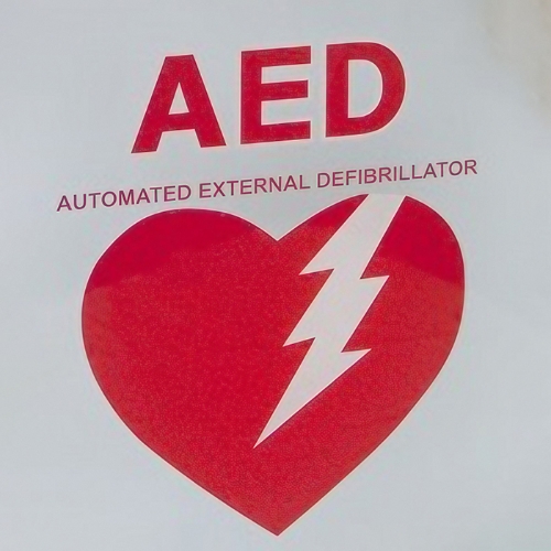 JL 14C "AED" Die Cut Lettering