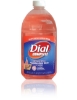 DIAL® Complete Antibacterial Foaming Hand Soap Fresh Scent DIA-98976 Case 6/40oz Bottles
