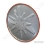 Stainless Steel Back